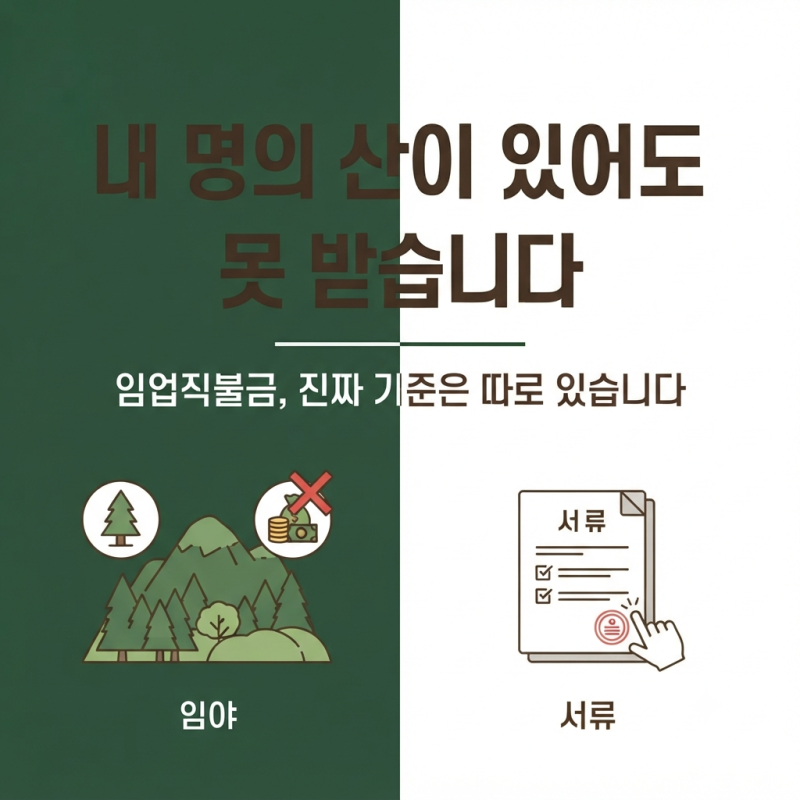 임업직불금, 내 명의 산이 있어도 못 받는 사람이 더 많습니다