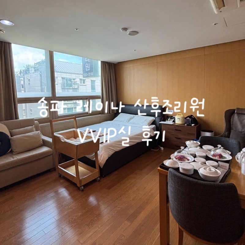 송파 레이나 산후조리원 VVIP실 후기 (미숙아 입소가능)
