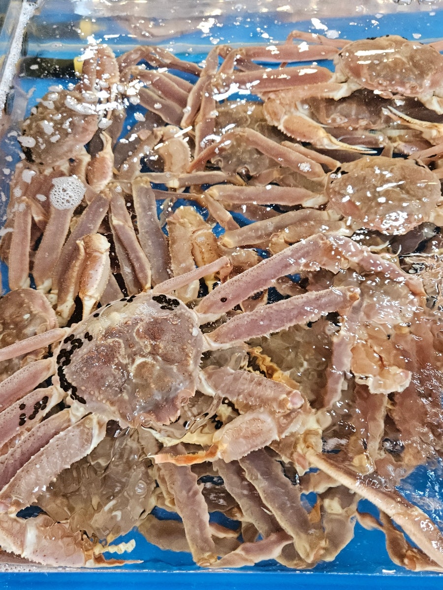기장명품대게 사진 6