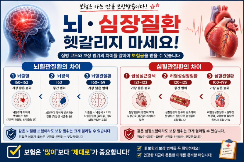 뇌출혈과 뇌경색은 같은 질병일까요? 뇌혈관질환·심혈관질환 보험 보장 차이까지 쉽게 알아....