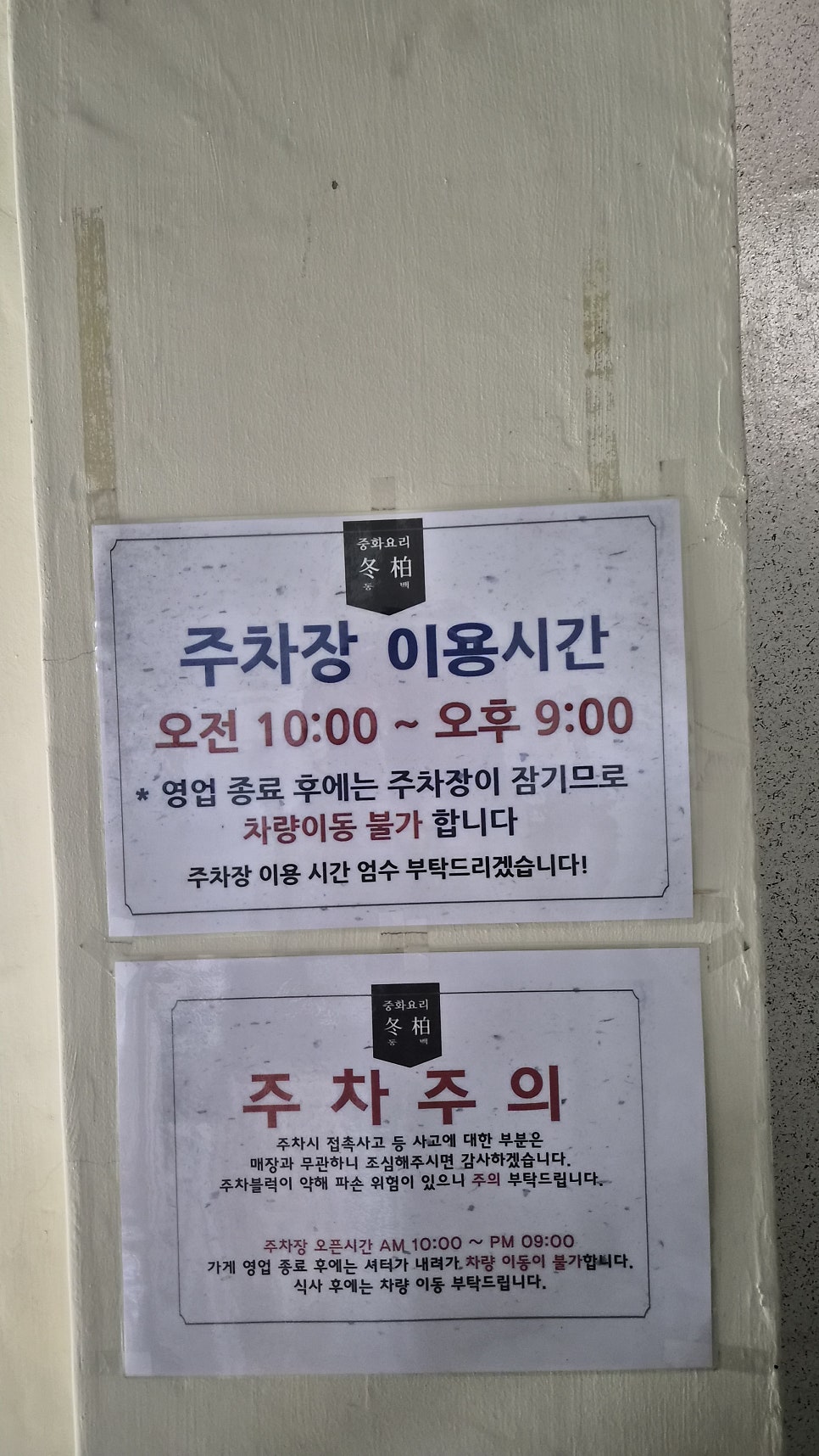 동백 사진 2