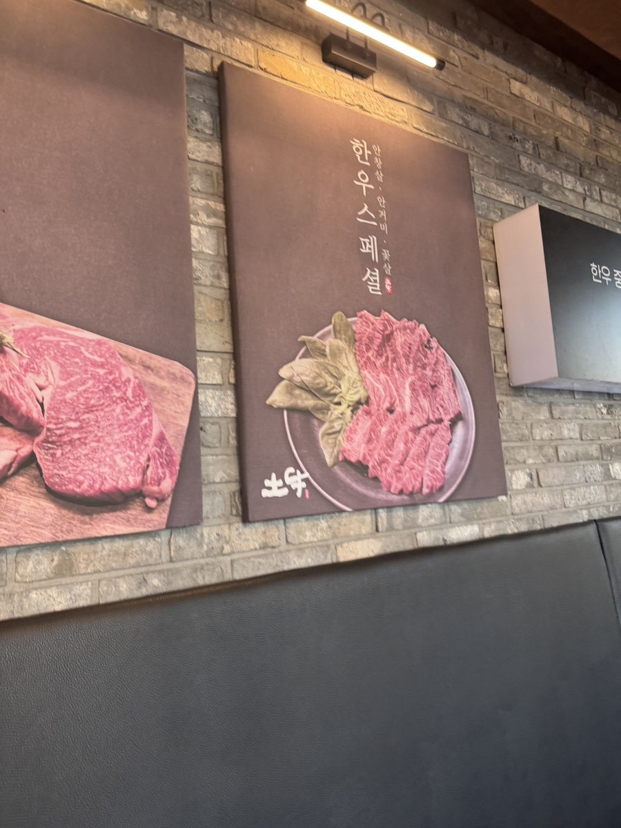 토우 사진 5