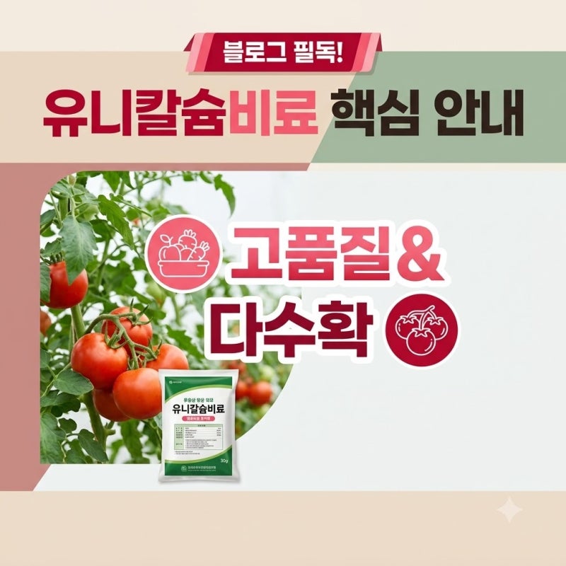 유니칼슘비료, 텃밭 가꾸며 한 달 동안 직접 사용해 본 결과 안내