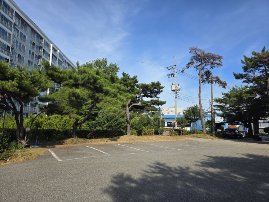 무학산오리하우스 울산농소점 사진 2