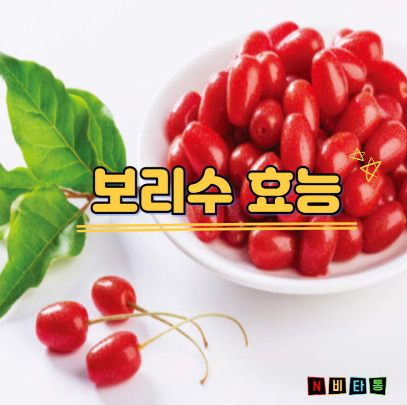 보리수 효능 부작용 신장 기관지 건강 챙기는 보리수 열매 먹는법 총정리