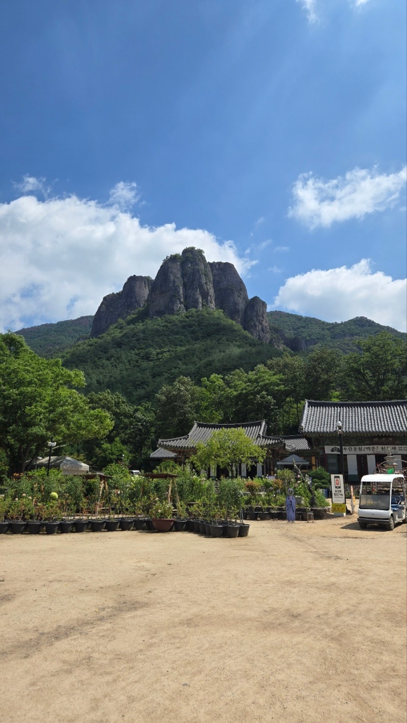 폭염주의보 뚫고 다녀온 주왕산 국립공원 등산 후기 | 등산코스 맛집 추천