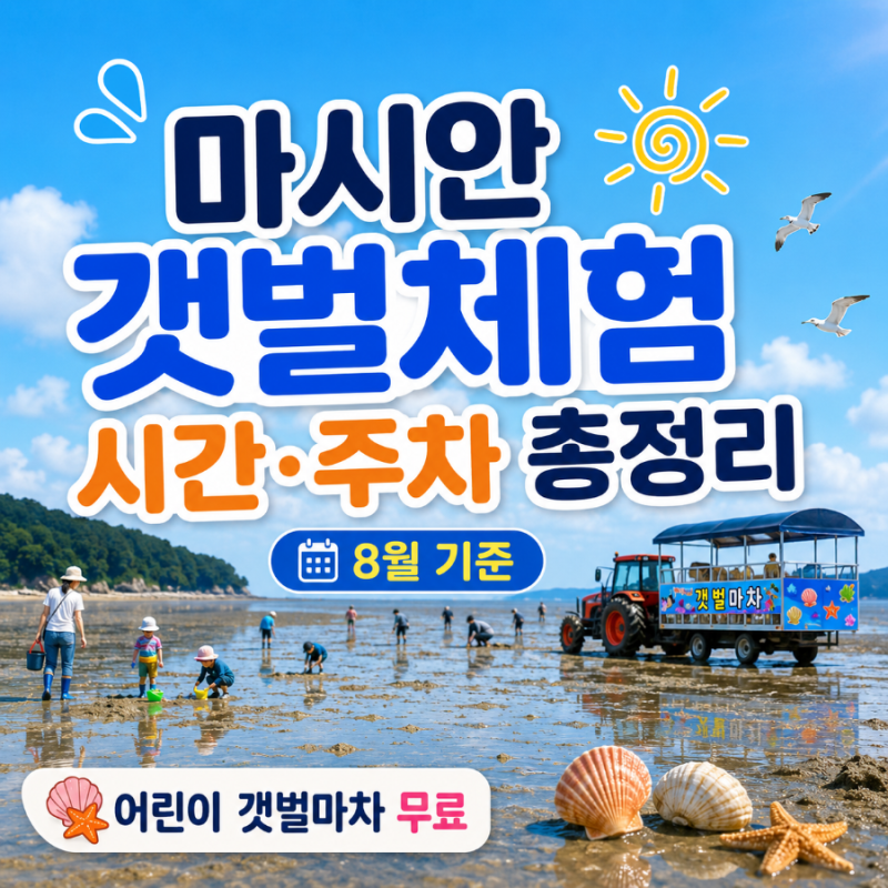 마시안 갯벌체험 시간 주차 정보