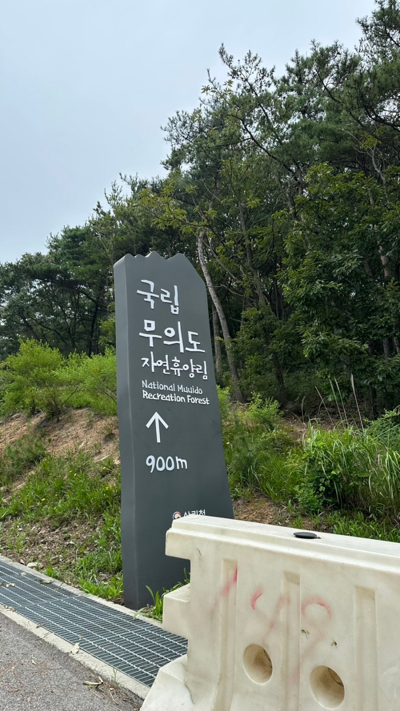 인천 무의도자연휴양림 연립동 102호 이용 솔직후기, 프랑세즈 단팥빵 맛집 후기