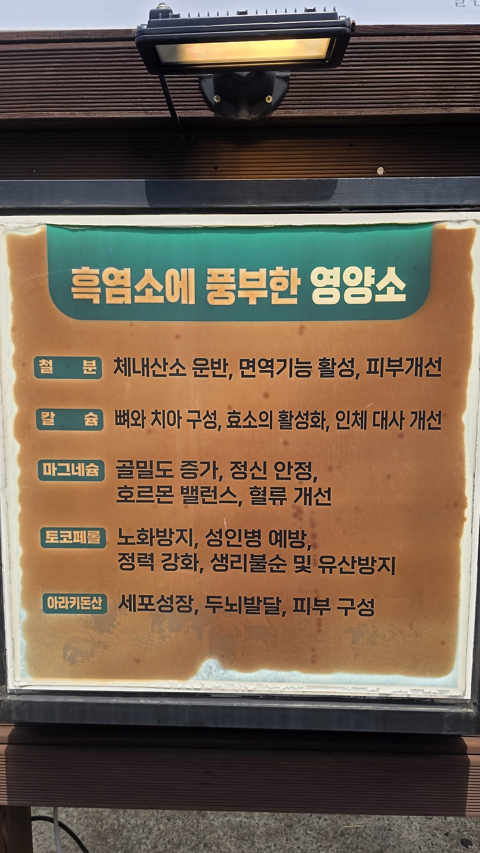 안다미로늘봄흑염소 사진 6