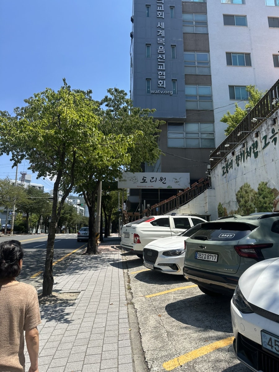 도리원 사진 3