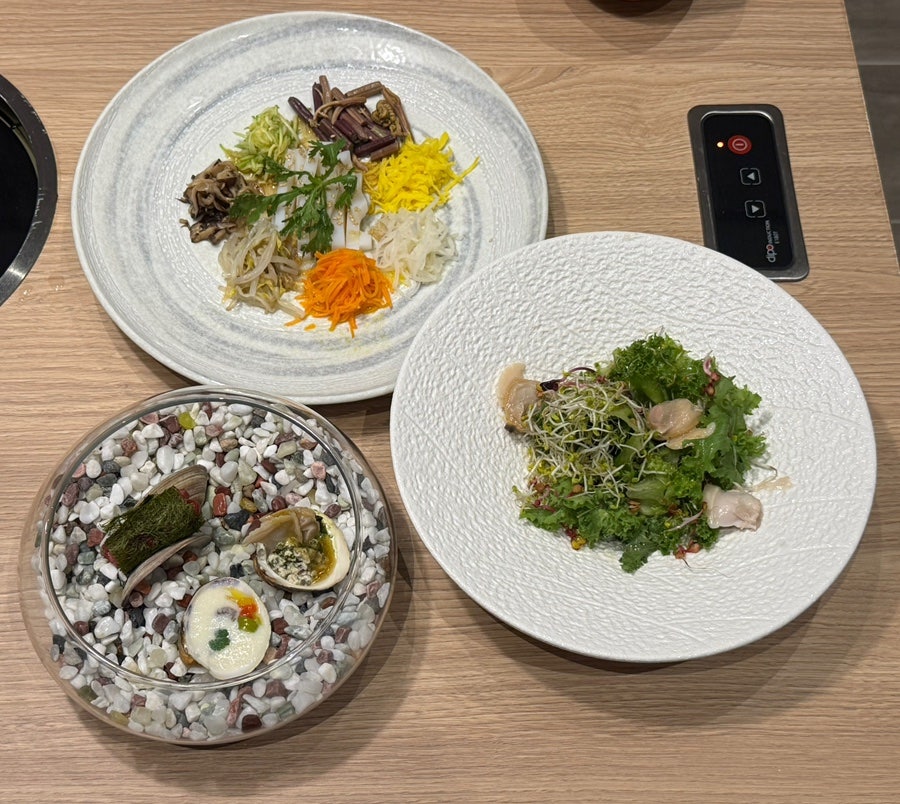 코스모스 부산 사진 2