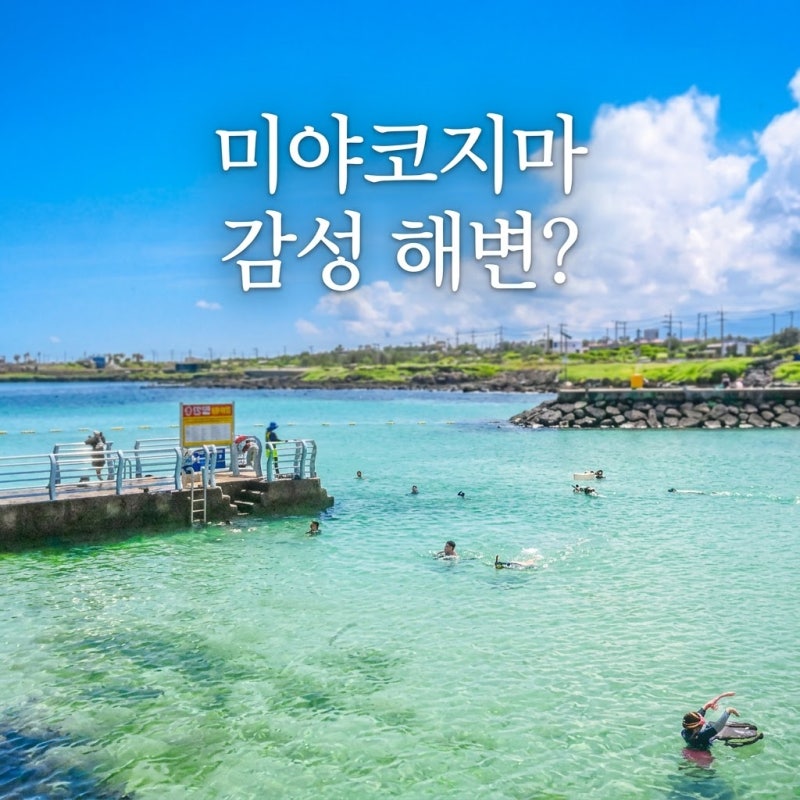 만조 시간 꼭 확인하세요! 제주 김녕 세기알해변 주차 및 샤워장 총정리
