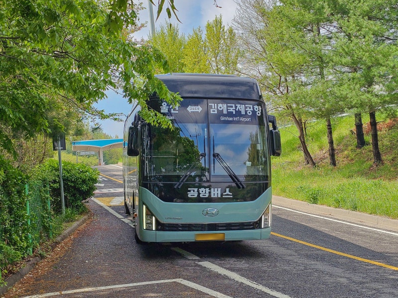 울산 김해공항 리무진버스 최신 시간표 요금 및 탑승장 위치(언양 후기)