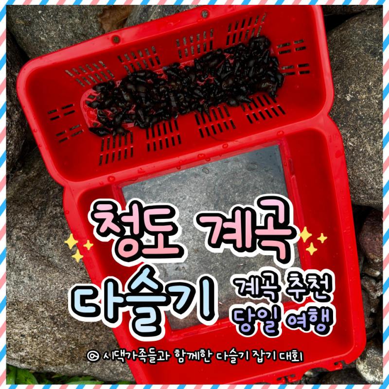 [청도 여행] 당일치기 다슬기 잡기! 청도 운문면 계곡 / 주차 팁 / 복장 추천
