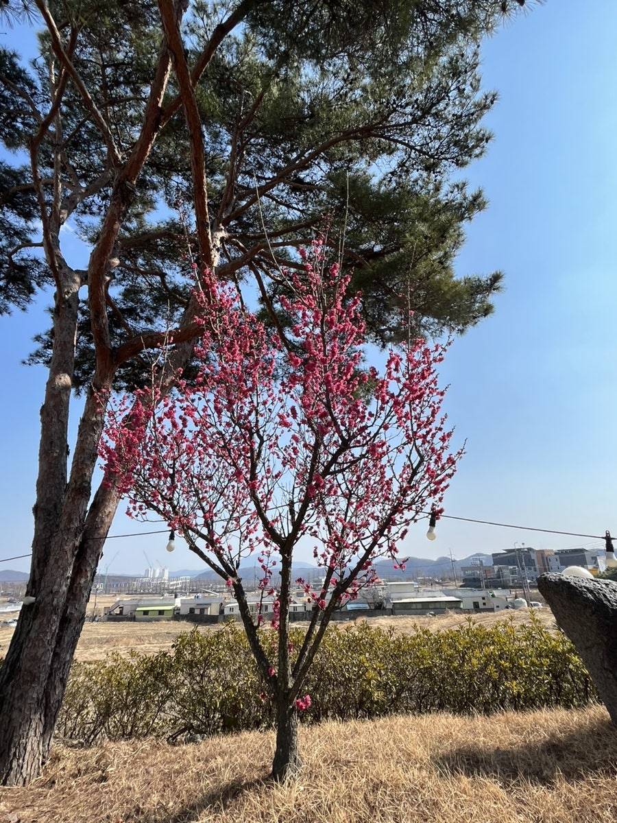 단안 사진 3