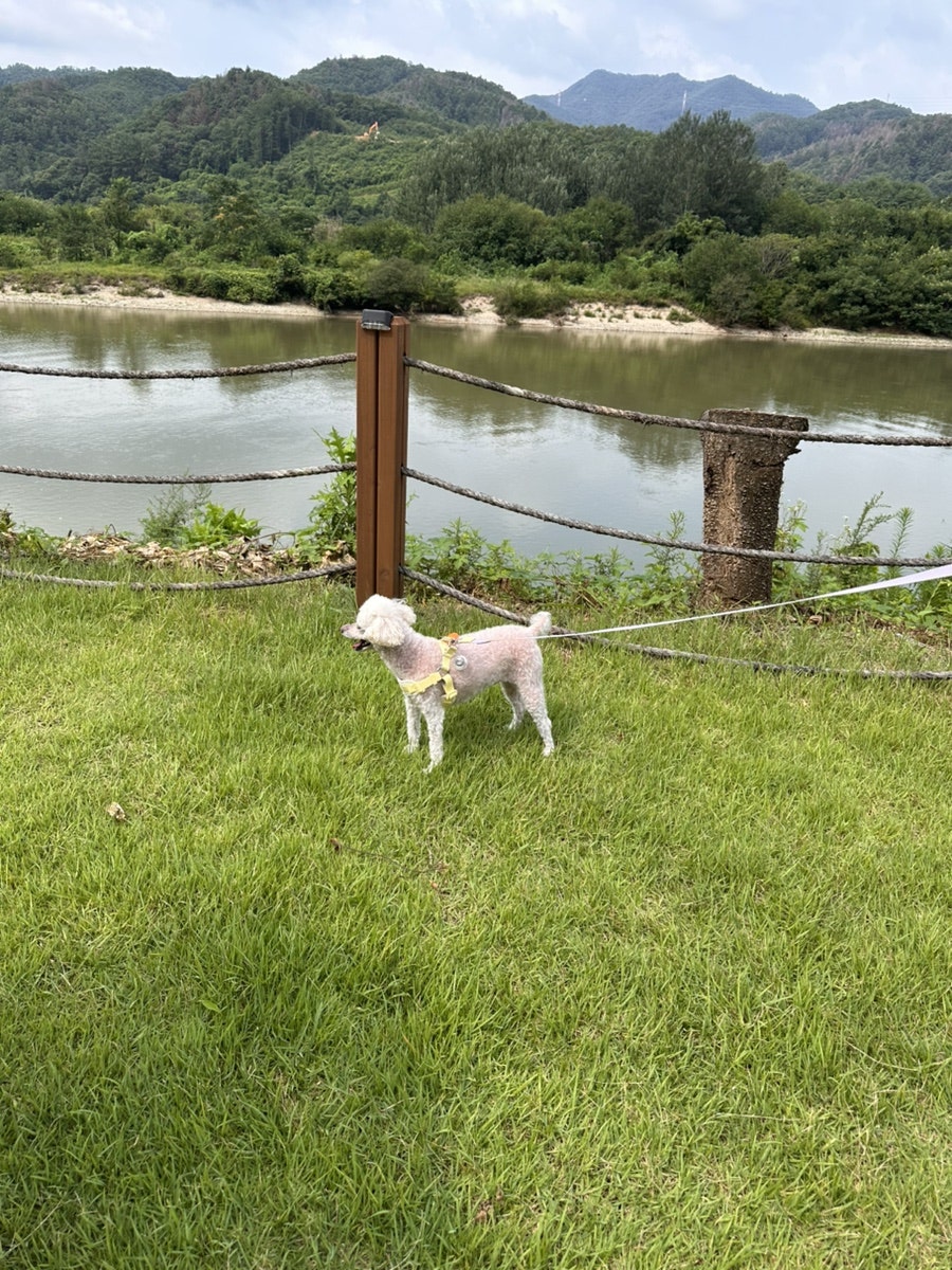 강변 사진 4