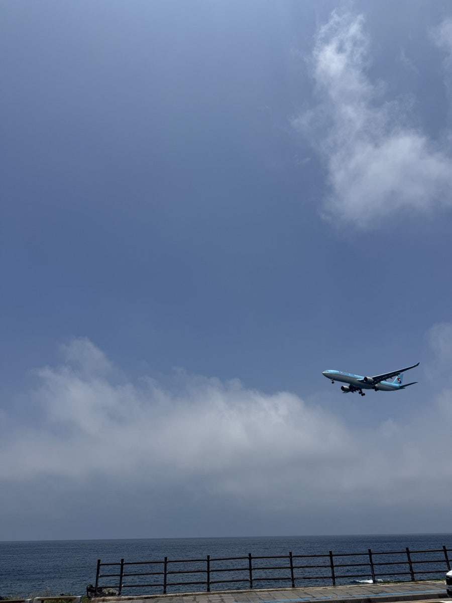 시로코 사진 3