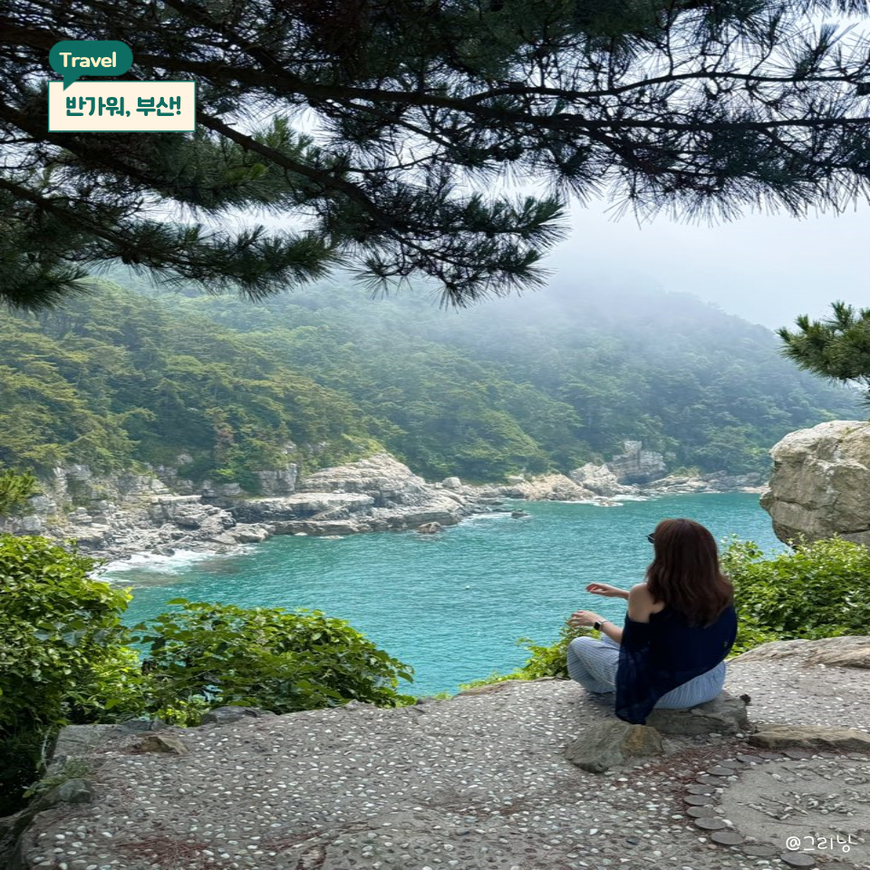 제일분식 사진 1