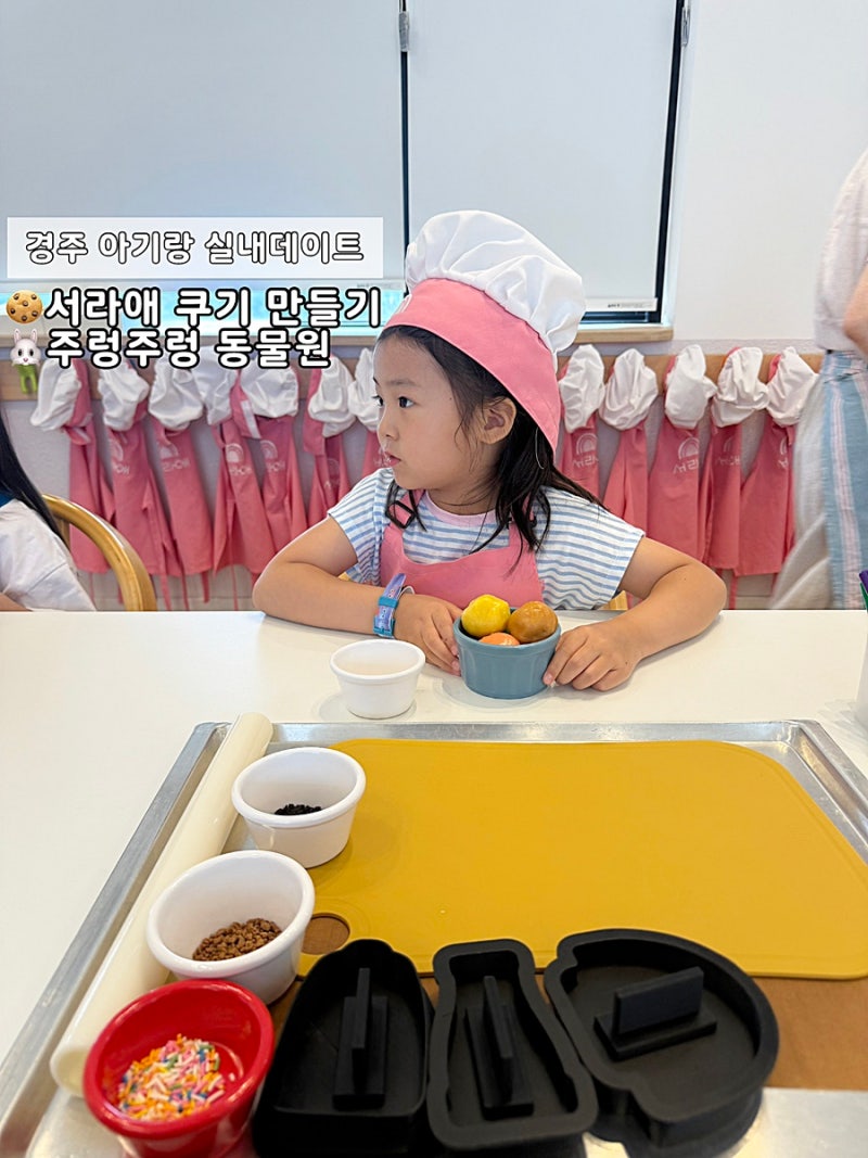 경주 아기랑 실내 갈만한 곳 / 서라애 쿠키만들기 + 주렁주렁 동물원 코스로 가보자