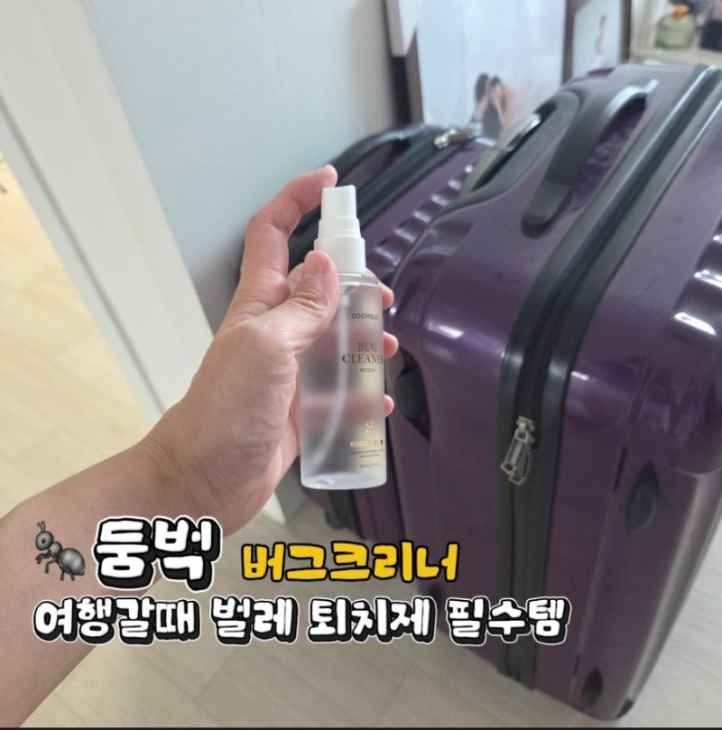베드버그 퇴치제 둠벅 버그크리너 스프레이 천연탈취제 여행 필수품