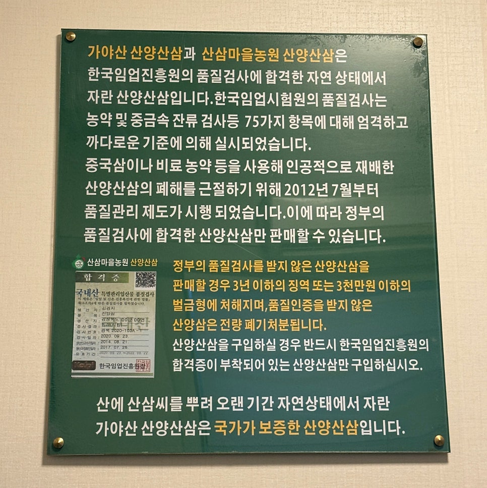 태봉산삼마을 사진 6