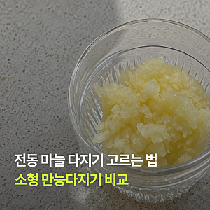 전동 마늘 다지기 고르는 법, 소형 만능다지기 비교
