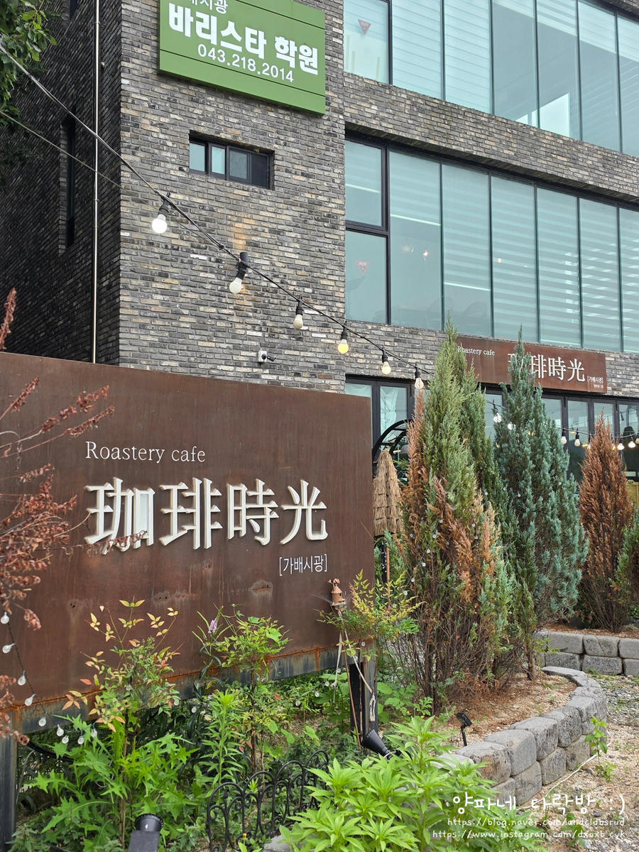 가배시광 사진 5