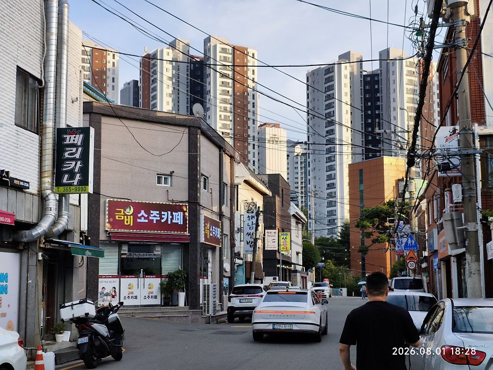개화반점 사진 4