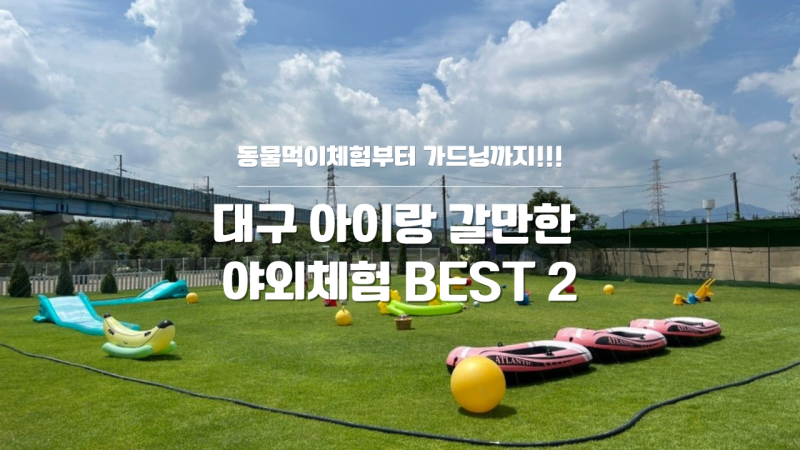 제목: 대구 근교 아이랑 감성 야외 카페 BEST 2: 동물 교감 & 피크닉 비교 (목장 053 vs 리틀가든)