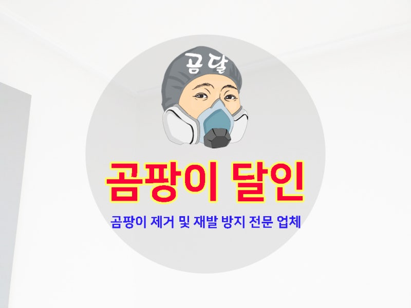 장판 밑 가장자리에서 시작된 방바닥 곰팡이 제거 재발 방지 시공 사례