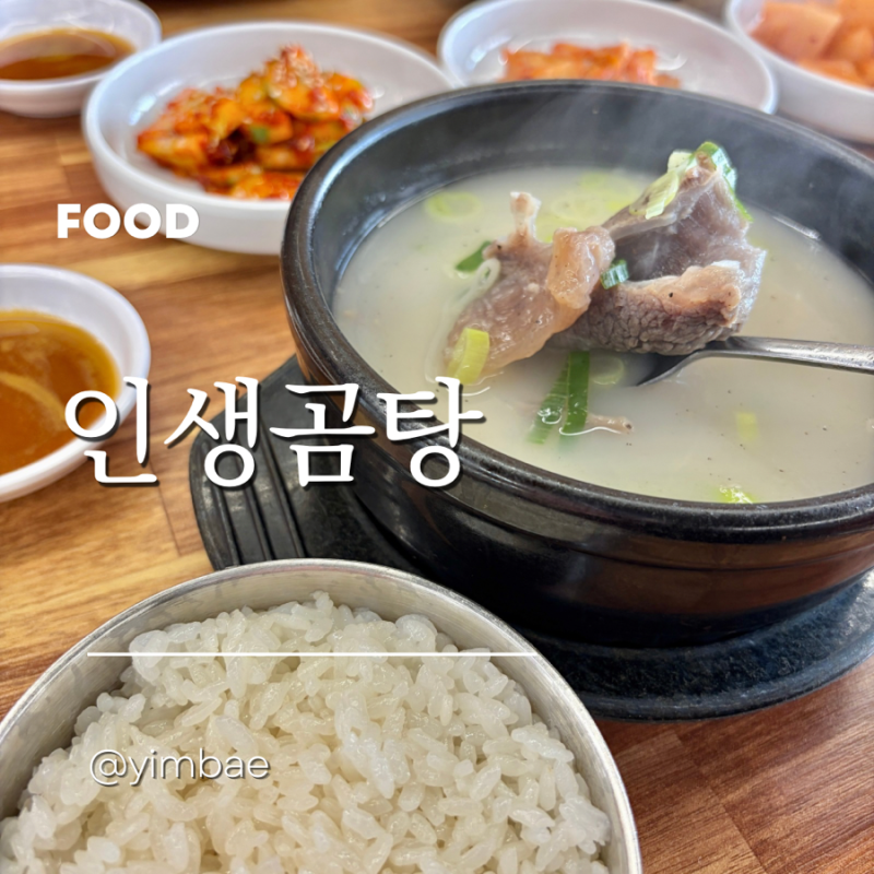 대전 둔산동 인생곰탕 한우도가니탕 점심맛집