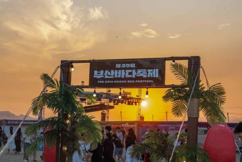 8월 첫 주, 다대포에 가면 돈 없이 즐기는 불꽃쇼가 기다리고 있다(부산바다축제)
