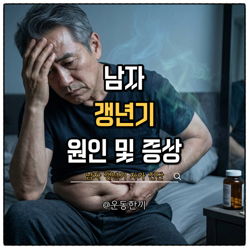 남자 갱년기 증상 원인 열감 자가 진단 호르몬 변화