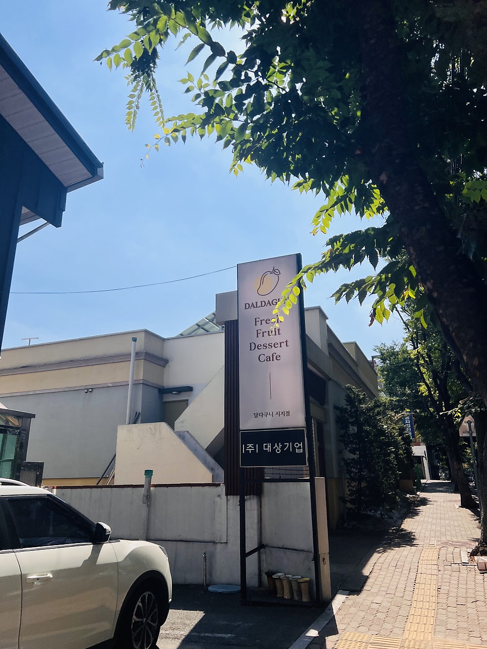 애플 사진 2