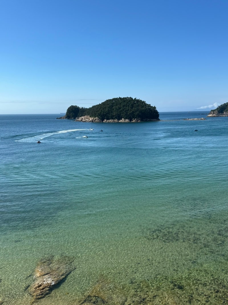 探索韓國泰安千里浦樹木園與海景咖啡廳推薦