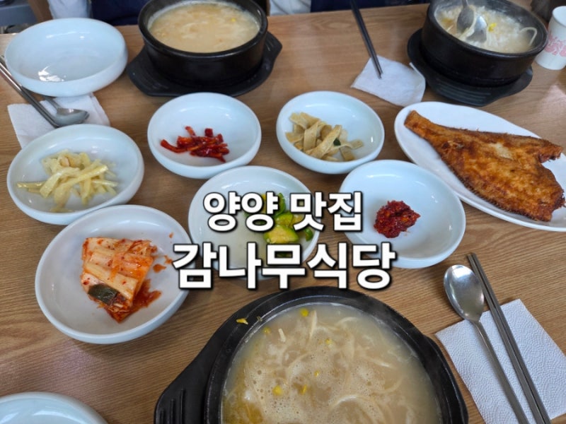 양양 맛집 감나무식당 황태해장국 주말웨이팅 주차