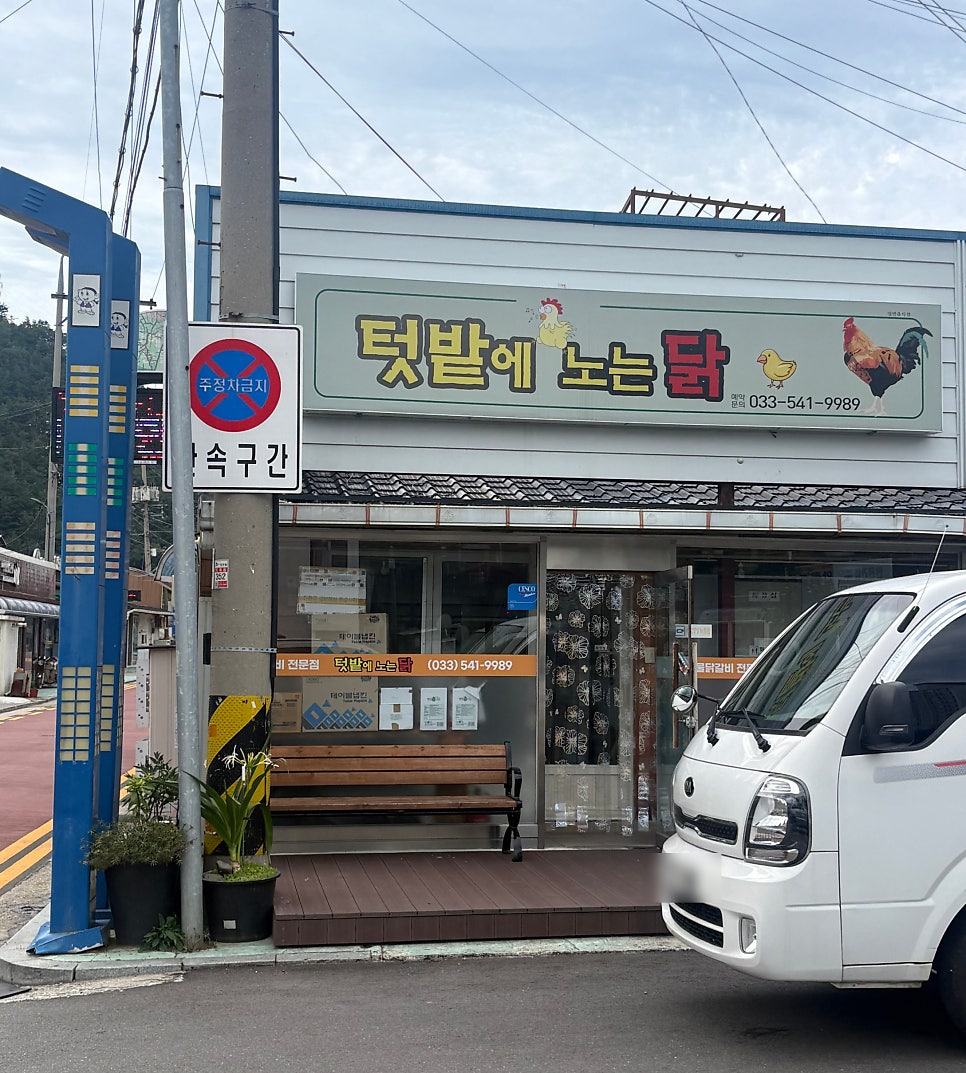 텃밭에노는닭 사진 1