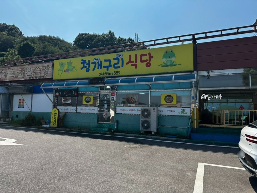 청개구리식당 사진 3