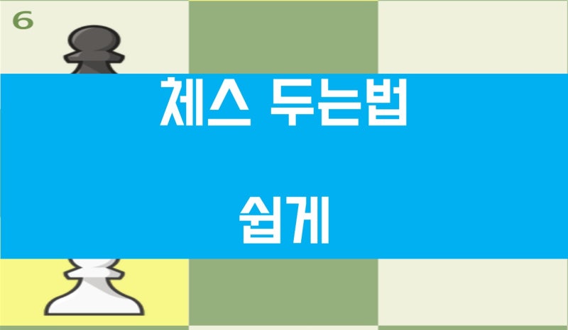 체스 두는법 및 규칙 쉽게 정리! 앙파상 및 나이트, 비숍, 폰, 나이트, 룩, 퀸 룰.