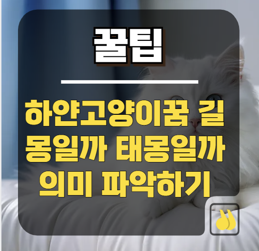 하얀고양이꿈 길몽일까 태몽일까 의미 파악하기