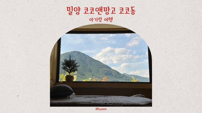 밀양 애견동반 숙소 코코앤망고 코코동 아기랑 가족여행