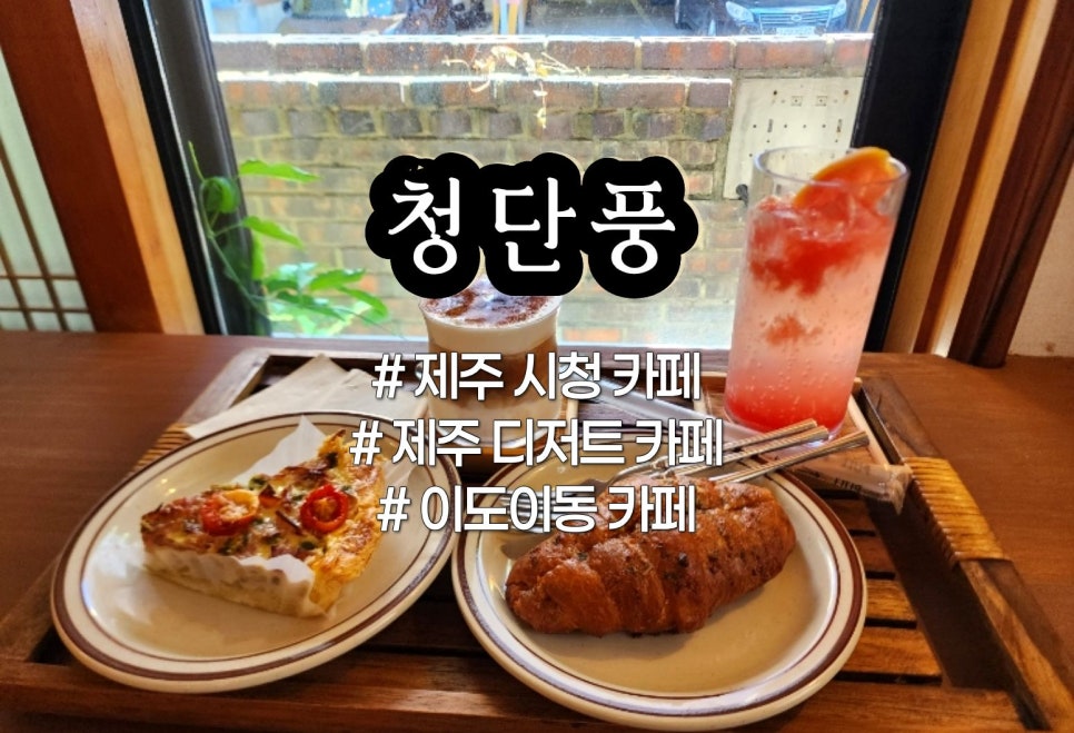 청단풍 사진 1