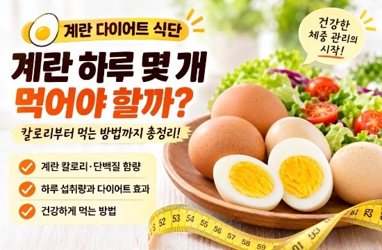 계란 다이어트｜하루 몇 개 먹어야 할까? 식단, 칼로리, 먹는 방법