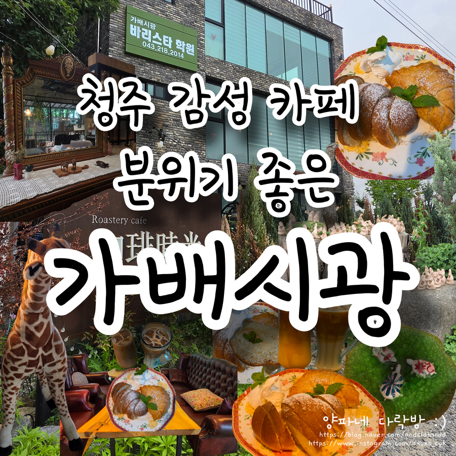 가배시광 사진 1