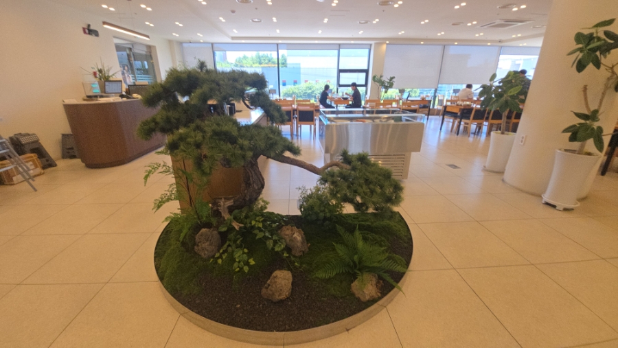 청담한상 사진 5