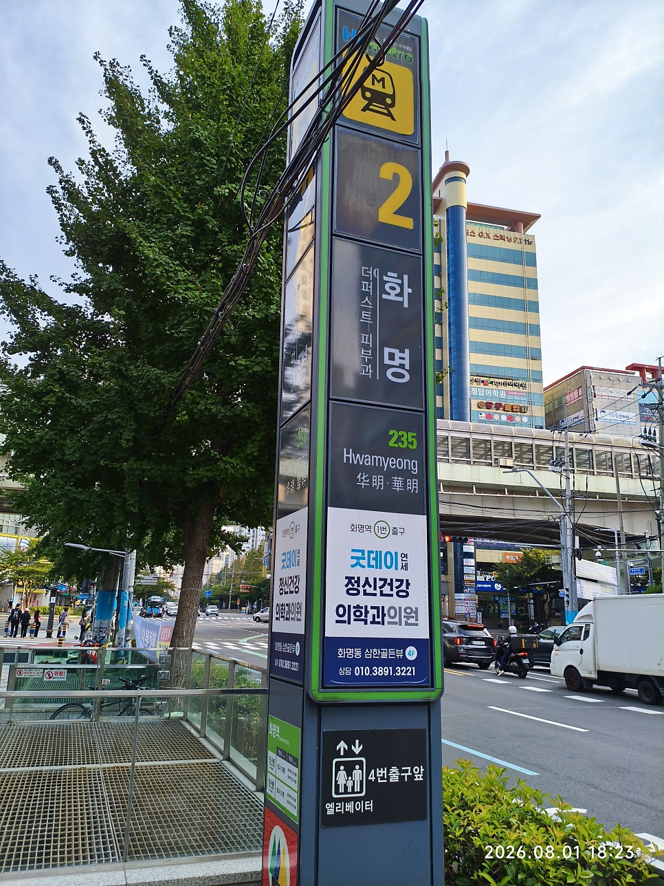 개화반점 사진 2