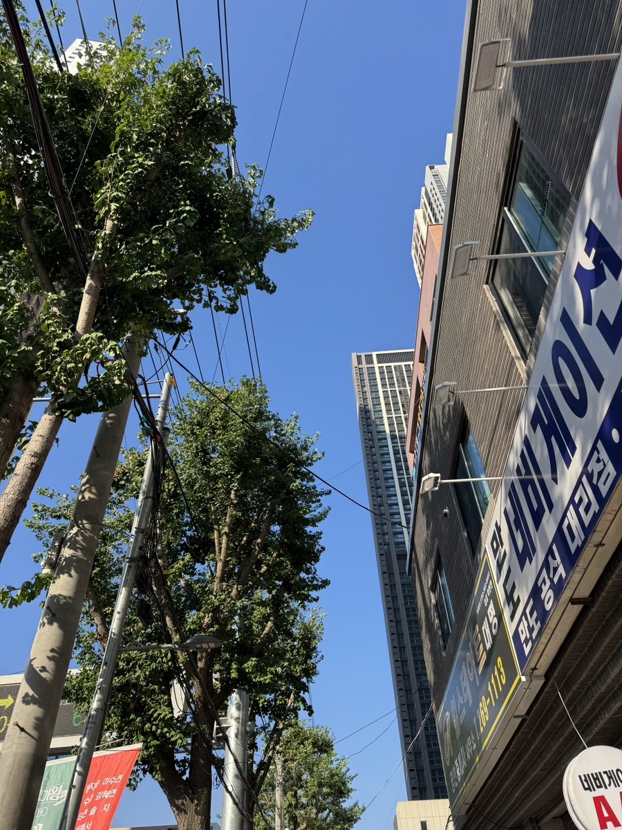 영선시장닭발 사진 2