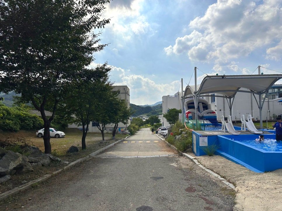 민들레미코 사진 4