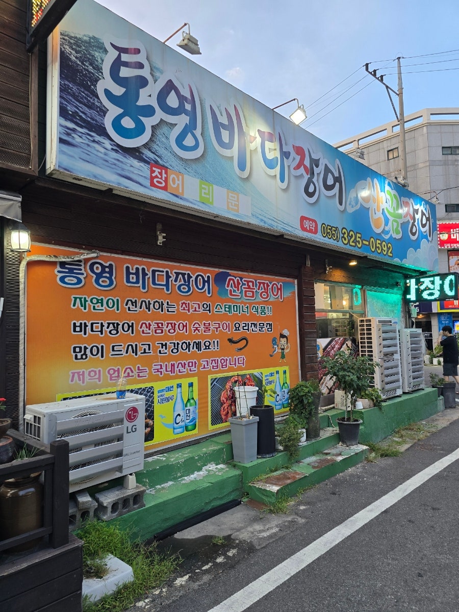 통영바다장어 사진 3