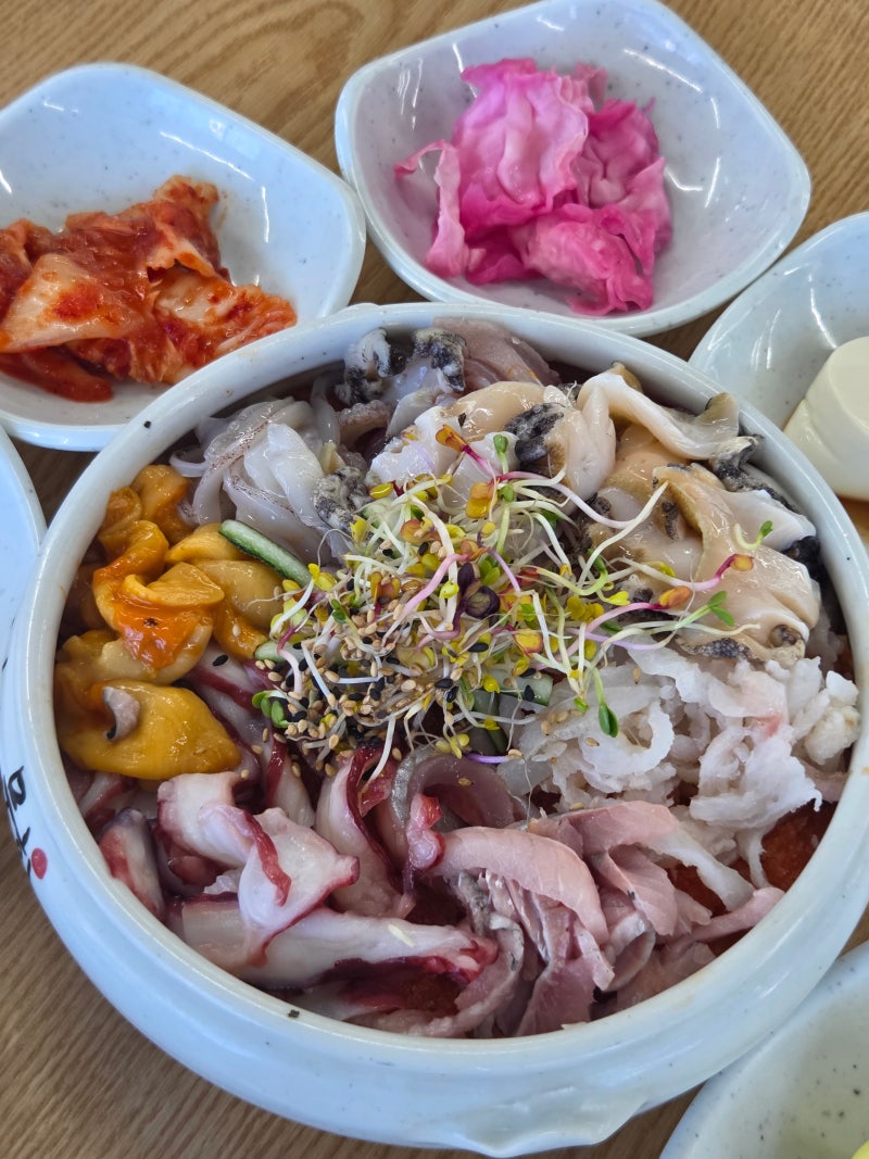 속초 3대 물회 맛집! 오징어회가 들어간 속초항아리물회 후기